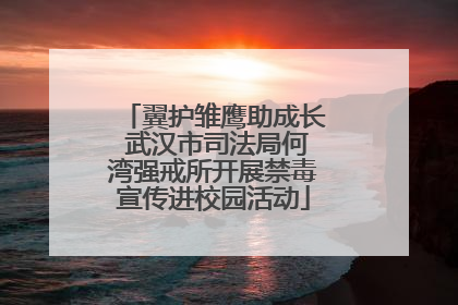 翼护雏鹰助成长 武汉市司法局何湾强戒所开展禁毒宣传进校园活动