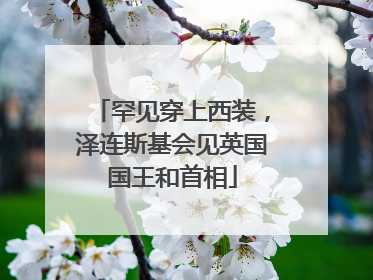 罕见穿上西装，泽连斯基会见英国国王和首相