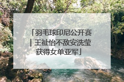 羽毛球印尼公开赛｜王祉怡不敌安洗莹 获得女单亚军