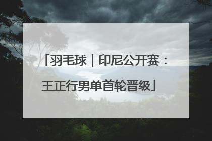 羽毛球｜印尼公开赛：王正行男单首轮晋级