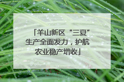 羊山新区“三夏”生产全面发力，护航农业稳产增收