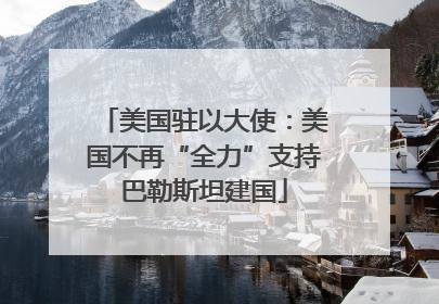 美国驻以大使：美国不再“全力”支持巴勒斯坦建国