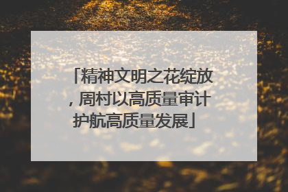 精神文明之花绽放，周村以高质量审计护航高质量发展