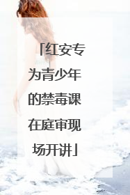 红安专为青少年的禁毒课在庭审现场开讲