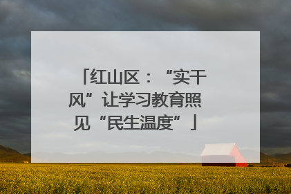 红山区：“实干风”让学习教育照见“民生温度”