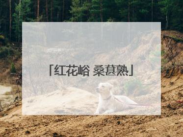 红花峪 桑葚熟