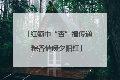 红领巾“杏”福传递 粽香情暖夕阳红