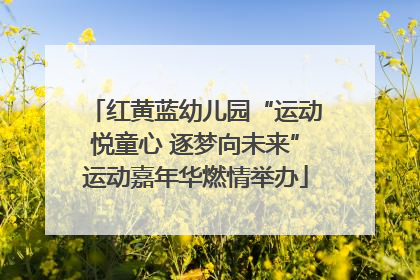 红黄蓝幼儿园“运动悦童心 逐梦向未来”运动嘉年华燃情举办