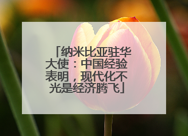 纳米比亚驻华大使：中国经验表明，现代化不光是经济腾飞