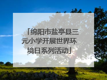 绵阳市盐亭县三元小学开展世界环境日系列活动