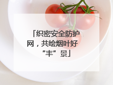 织密安全防护网，共绘烟叶好“丰”景