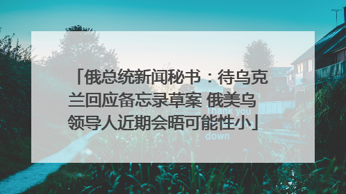 俄总统新闻秘书：待乌克兰回应备忘录草案 俄美乌领导人近期会晤可能性小