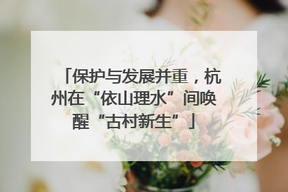 保护与发展并重，杭州在“依山理水”间唤醒“古村新生”