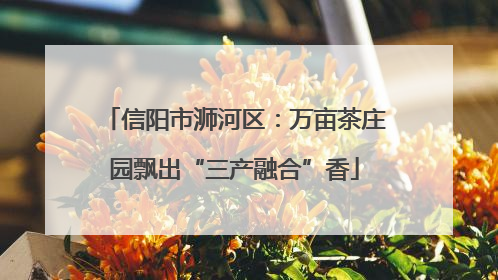 信阳市浉河区：万亩茶庄园飘出“三产融合”香