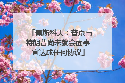 佩斯科夫：普京与特朗普尚未就会面事宜达成任何协议