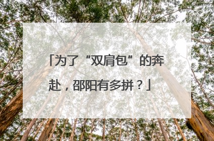 为了“双肩包”的奔赴，邵阳有多拼？