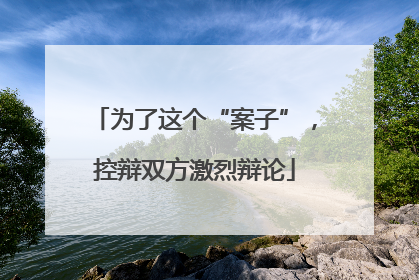 为了这个“案子”，控辩双方激烈辩论