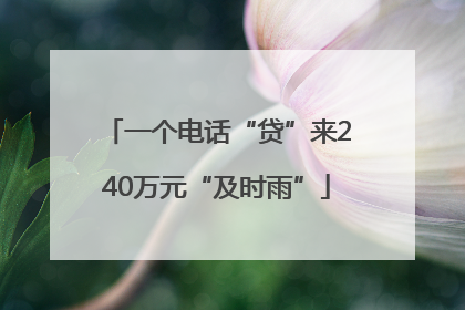 一个电话“贷”来240万元“及时雨”