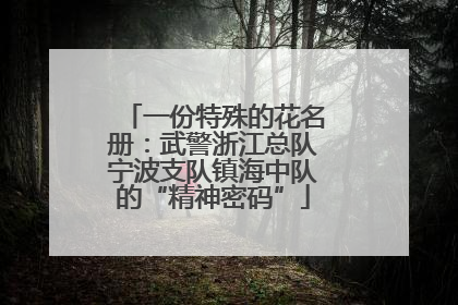 一份特殊的花名册：武警浙江总队宁波支队镇海中队的“精神密码”