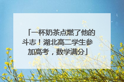 一杯奶茶点燃了他的斗志！湖北高二学生参加高考，数学满分