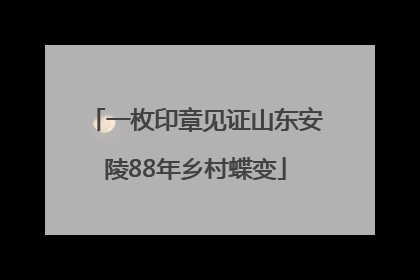 一枚印章见证山东安陵88年乡村蝶变
