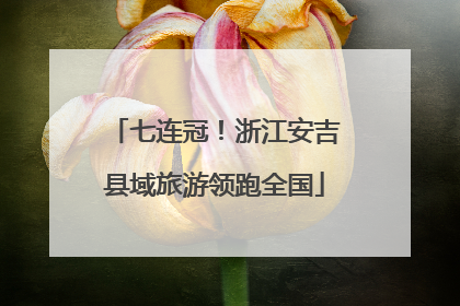 七连冠！浙江安吉县域旅游领跑全国