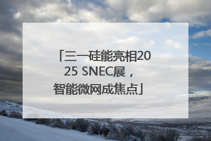 三一硅能亮相2025 SNEC展，智能微网成焦点