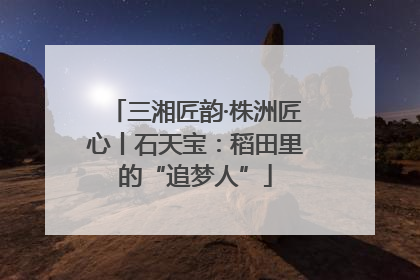 三湘匠韵·株洲匠心丨石天宝：稻田里的“追梦人”