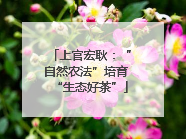上官宏耿：“自然农法”培育“生态好茶”