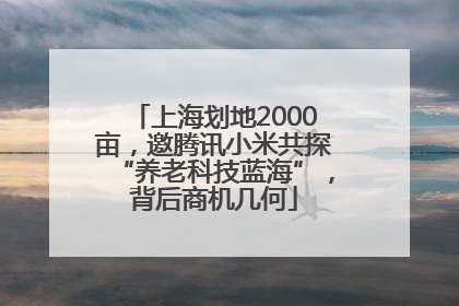 上海划地2000亩，邀腾讯小米共探“养老科技蓝海”，背后商机几何