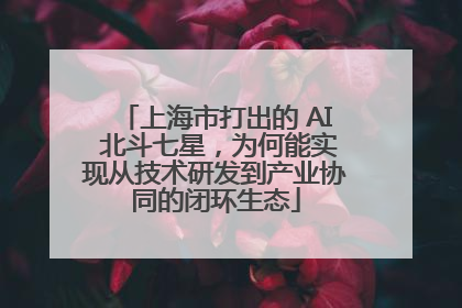 上海市打出的 AI 北斗七星，为何能实现从技术研发到产业协同的闭环生态