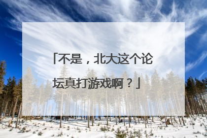 不是，北大这个论坛真打游戏啊？