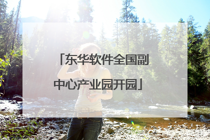 东华软件全国副中心产业园开园