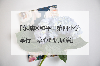东城区和平里第四小学举行三幕心理剧展演
