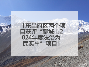 东昌府区两个项目获评“聊城市2024年度法治为民实事”项目