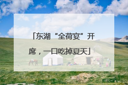 东湖“全荷宴”开席，一口吃掉夏天