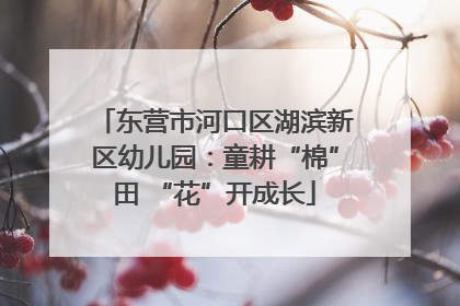 东营市河口区湖滨新区幼儿园：童耕“棉”田 “花”开成长