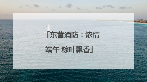 东营消防：浓情端午 粽叶飘香