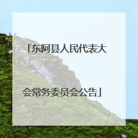 东阿县人民代表大会常务委员会公告
