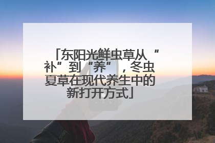 东阳光鲜虫草从“补”到“养”，冬虫夏草在现代养生中的新打开方式