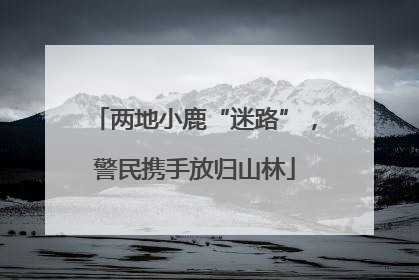两地小鹿“迷路”，警民携手放归山林