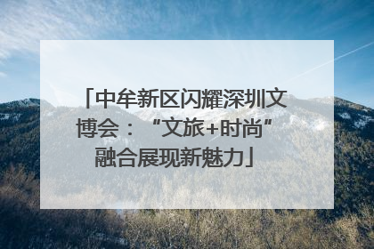 中牟新区闪耀深圳文博会：“文旅+时尚”融合展现新魅力