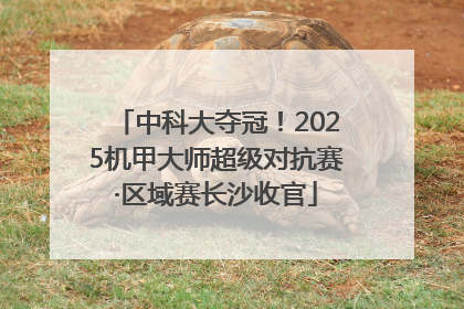 中科大夺冠！2025机甲大师超级对抗赛·区域赛长沙收官