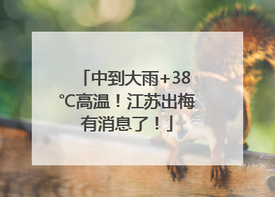 中到大雨+38℃高温！江苏出梅有消息了！