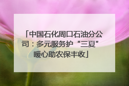 中国石化周口石油分公司：多元服务护“三夏” 暖心助农保丰收