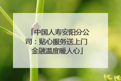 中国人寿安阳分公司：贴心服务送上门 金融温度暖人心