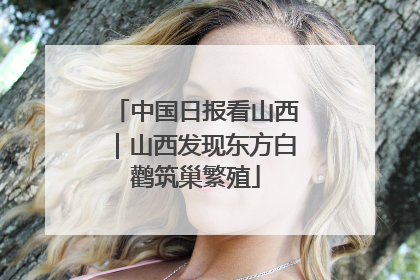 中国日报看山西｜山西发现东方白鹳筑巢繁殖