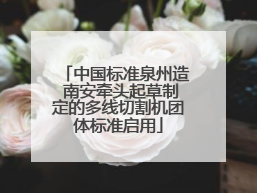 中国标准泉州造 南安牵头起草制定的多线切割机团体标准启用