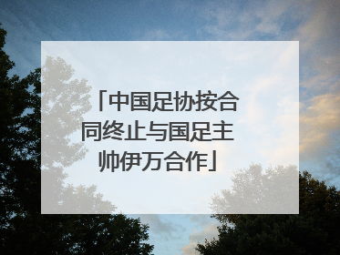 中国足协按合同终止与国足主帅伊万合作