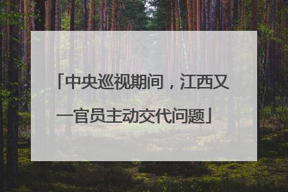 中央巡视期间，江西又一官员主动交代问题